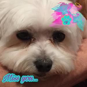 Meet your Posher, Maritza